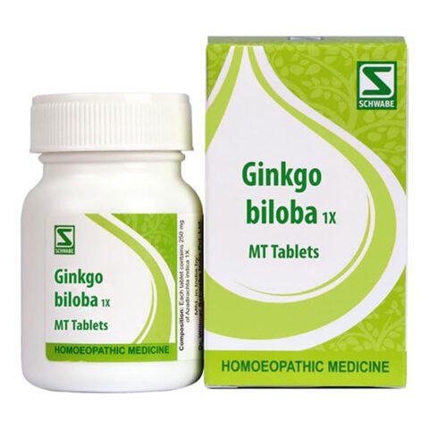 Ginkgo-biloba-1X-20-gm