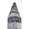 Qutub Minar - By Himanshi Ahlawat