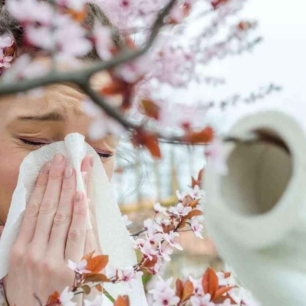 Allergy Relief: 5 Natural Remedies to Help You Breathe Easier