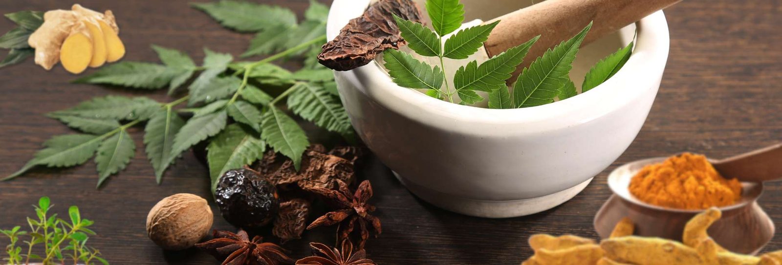 The Ayurvedic Detox- 5 Powerful Herbs to Cleanse Your Body and Mind - Blog Content I - HealThyRam
