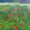 Poppies in a field | By Alka Bhardwaj