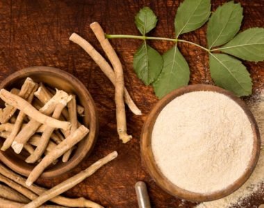 Ashwagandha Unearthing-the-Power-of-Ashwagandha HealThyRam