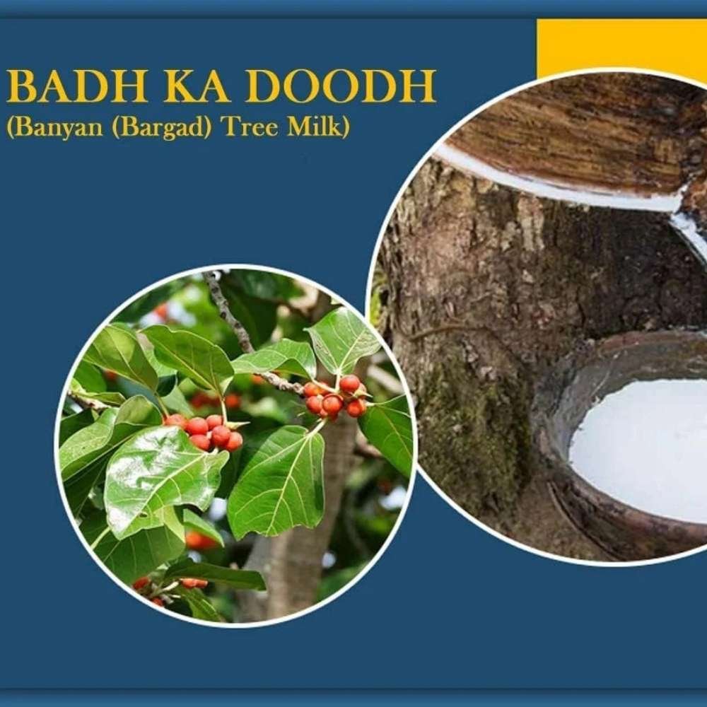 BANYAN Tree Milk Review