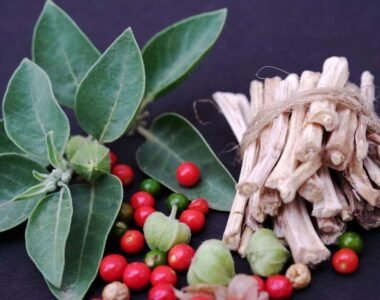 Discover the Top 8 Health Benefits of Ashwagandha - HealThyRam