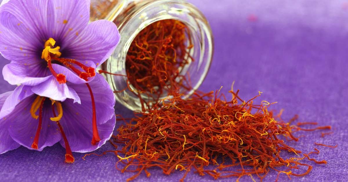 Golden Goodness - The Incredible Health Benefits of Saffron - HealThyRam