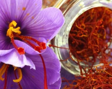 Why Saffron Should Be in Your Diet