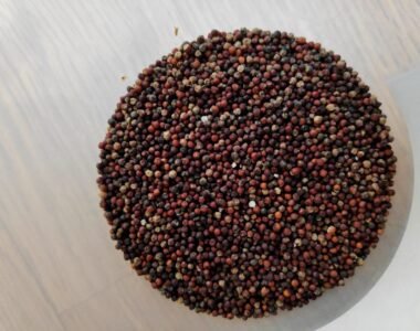 Organic Millets in India: A Guide to Healthier Grains