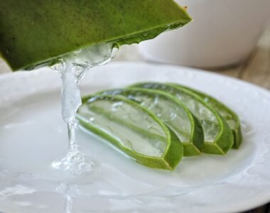 Aloe Vera: The Plant of Immortality and Its Incredible Benefits