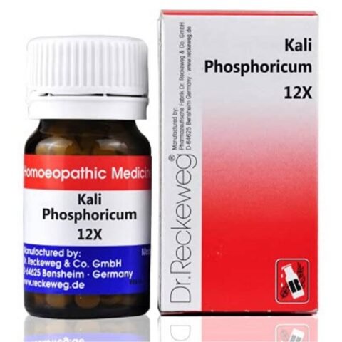 Dr. Reckeweg Kali Phosphoricum Tablet