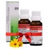 Dr. Reckeweg R9 Cough Drop – 22 ml (Pack of 2)