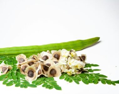 The Miracle Tree: Unlocking the Health Benefits of Moringa