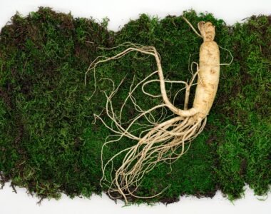 Ginseng: The Ancient Herb for Energy, Immunity, and Vitality