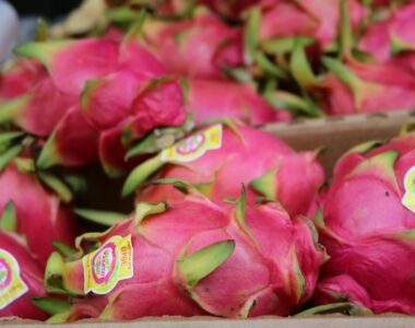 Dragon Fruit: Types, Nutrition Benefits, and Buy Fresh Online