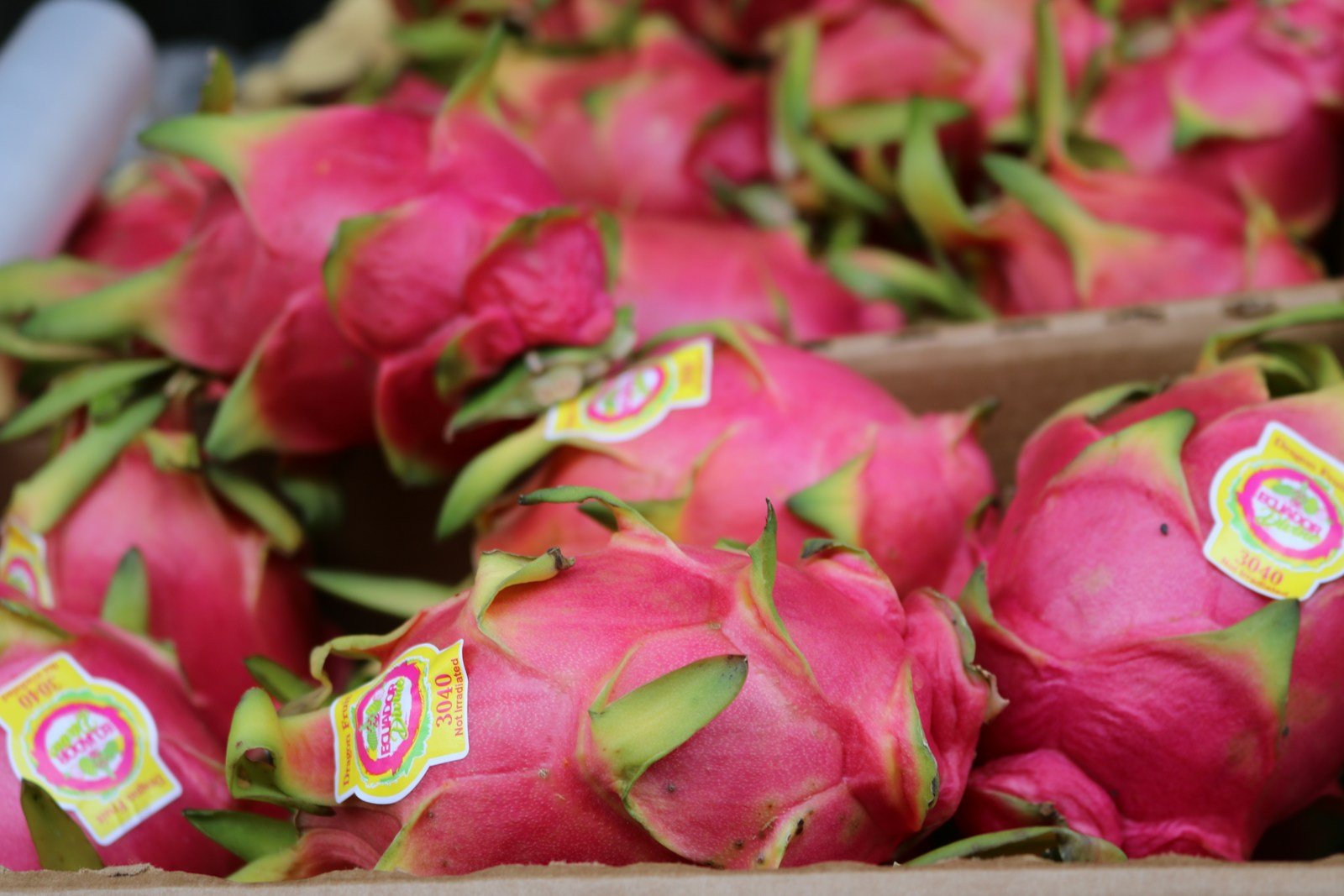 Dragon Fruit: Types, Nutrition Benefits, and Buy Fresh Online
