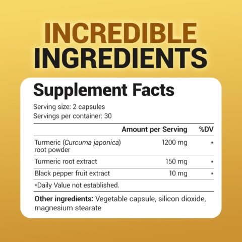 Dr. Berg (Only 2 Per Day) Turmeric Supplement with Black Pepper (BioPerine)