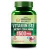 Vlados Himalayan Organics Methylcobalamin