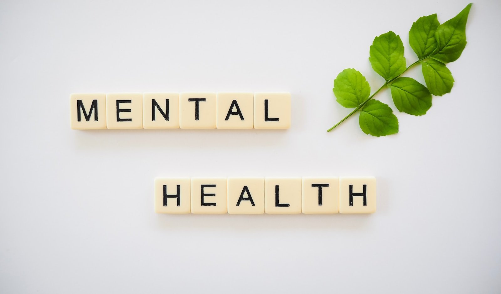 Exploring the World Mental Health Day Theme