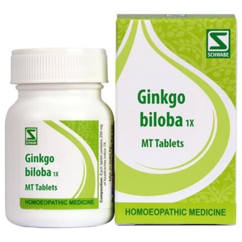 Dr.Willmar Schwabe India Ginkgo Biloba 1X 20Gm
