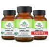 Organic India Amalaki - 60 Veg Capsules
