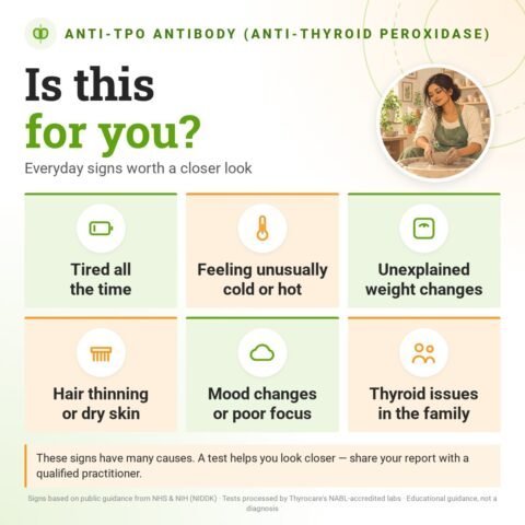 Is the Anti-TPO Antibody (Anti-Thyroid Peroxidase) for you? Everyday signs worth a closer look: tired all the time, feeling unusually cold or hot, unexplained weight changes, hair thinning or dry skin, mood changes or poor focus, thyroid issues in the family.
