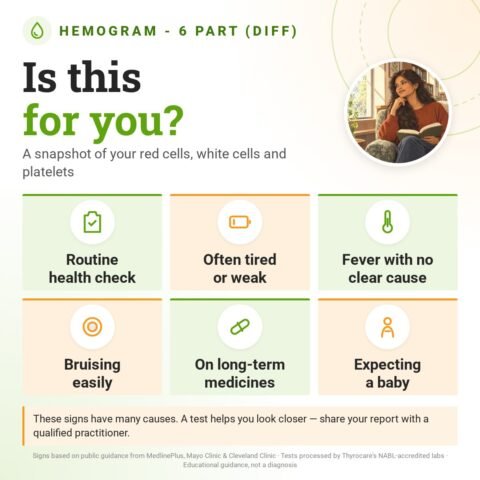 Is the Hemogram - 6 Part (DIFF) for you? A snapshot of your red cells, white cells and platelets: routine health check, often tired or weak, fever with no clear cause, bruising easily, on long-term medicines, expecting a baby.