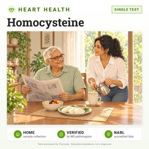 Homocysteine: single test, heart health test with home sample collection. Illustration: a father reading the newspaper at breakfast as his daughter pours tea.