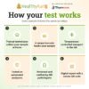 How your HealThyRam lab test works, in association with Thyrocare: 1. Trained technicians collect your sample at home. 2. A unique barcode tracks your sample. 3. Temperature-controlled transport to the lab. 4. Tested on automated analysers. 5. Reviewed and verified by MD pathologists. 6. Digital report with a secure QR code.
