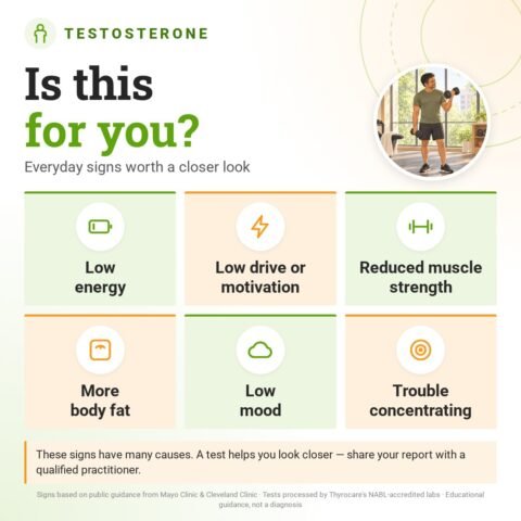 Is the Testosterone for you? Everyday signs worth a closer look: low energy, low drive or motivation, reduced muscle strength, more body fat, low mood, trouble concentrating.